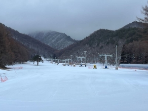 今日のロイヤルクリスティー