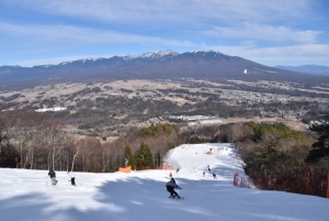 ゲレンデの様子