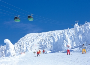 蔵王温泉スキー場名物「樹氷原コース」
