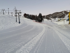 現在のダイナランド