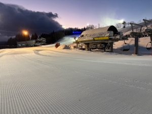 現在のダイナランド