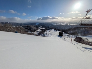 現在のダイナランド