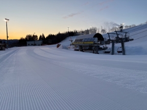 現在のダイナランド