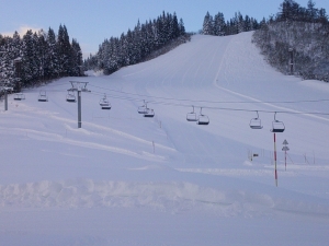 サザンクロスコース