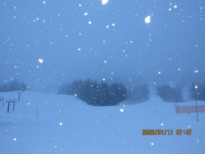 １月１１日　８：００　雪
今朝のムーンリバーコース　ミルキーウェイコース