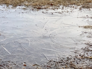 ゲレンデには霜が下りていて、氷が張っています。