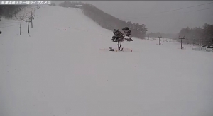 天狗山山麓ライブカメラ