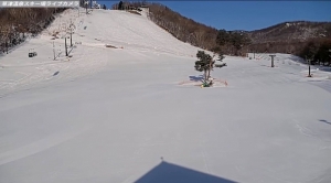天狗山山麓ライブカメラ